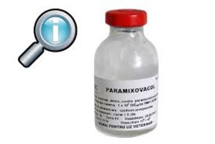 Paramixovacol - 01-BOLI TRATAMENTE SI MEDICAMENTE NATURARISTE PTR PORUMBEI