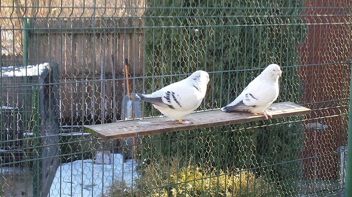 M-2011-2355&M-2012-2802