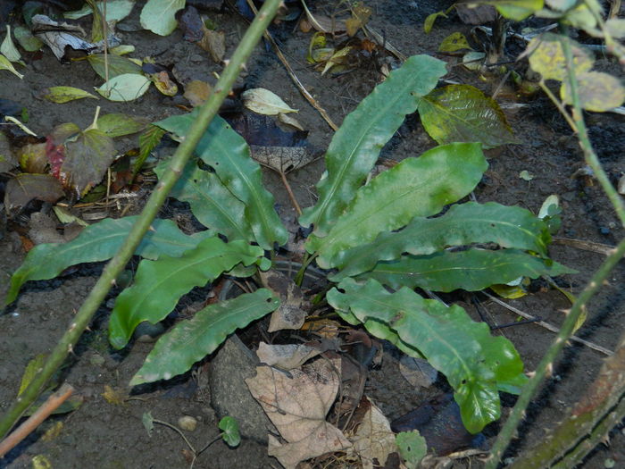DSCN6058