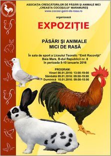  - Expozitie Maramures 2016