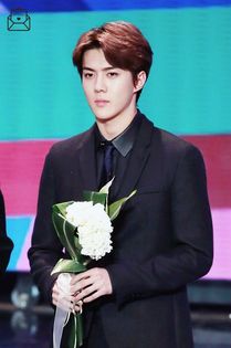 ╳ 135 days l 31.12.2015 ╳