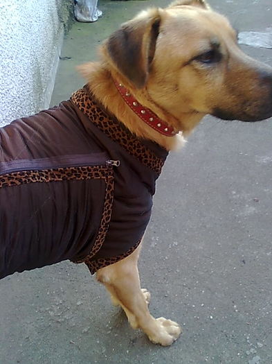 EU  SUNT  CORA