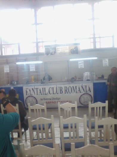 IMG_20151212_101340 - EXPO SPECIALIZATA FANTAIL CLUB ROMANIA