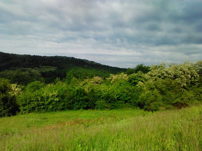 IMG-20150514-WA0004 - Albinute 2015