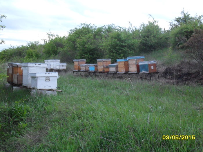 Primavara 2015 la rapita