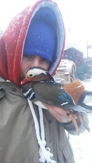 20160103_084311 - rate mandarin