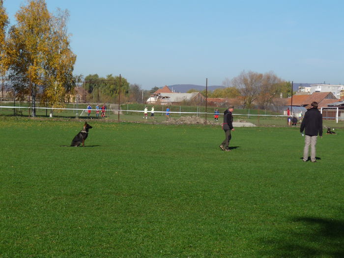 EXAMEN LUCRU BRASOV