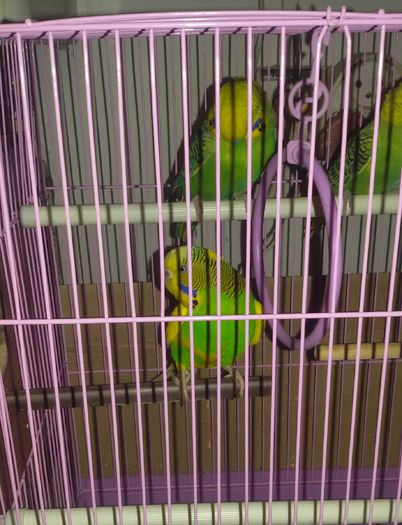 20160103_190454-1