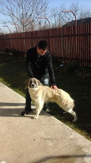 20151226_123318 - paza mare