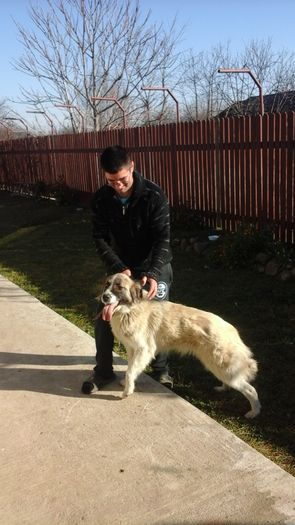 20151226_123310 - paza mare