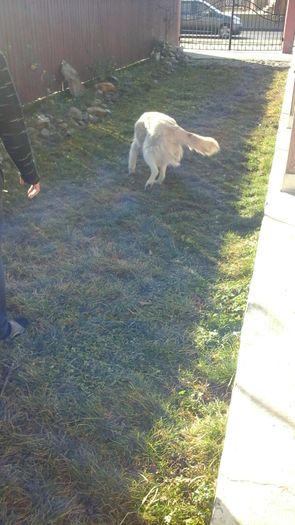 20151226_123236 - paza mare