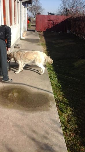 20151226_123200 - paza mare