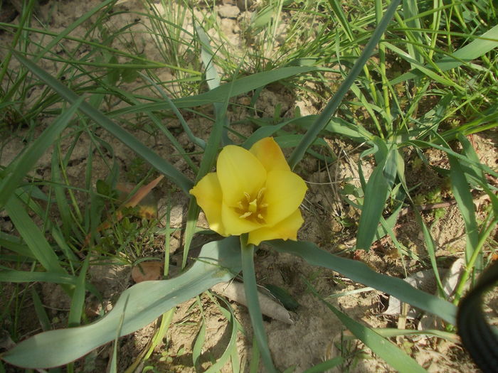 DSCN5982
