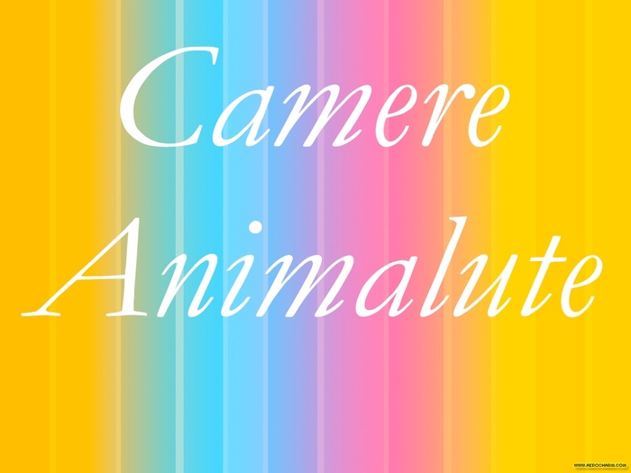 Camere Animalute