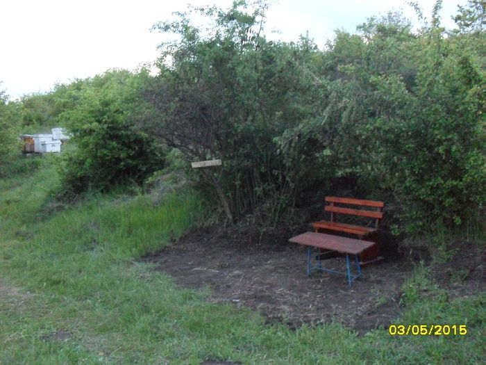 SDC13680 - albine un alt hobby