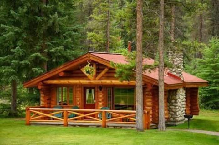 11855740_492694510890157_4272961335376398003_n - Mobilier gradina