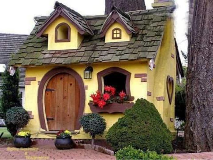 11866466_492694134223528_9161509065977995508_n - Mobilier gradina