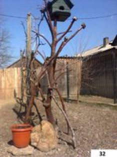95999190_GOHBACB - Mobilier gradina