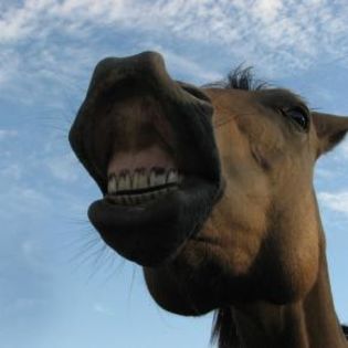 32799_99013a8539bdf1928c6b3e583468d578_mdsq