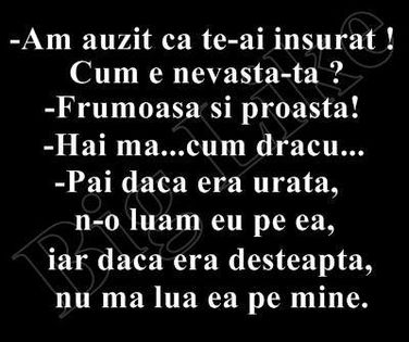 1460170_235832636576793_850805512_n - Diverse