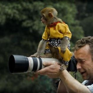 36188_0c72854be42ba3f4dc684932c75b6d97_mdsq