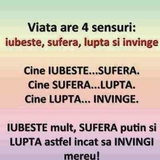 1969406_587062641443130_5974717560476000929_n - Diverse