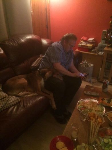 12442747_1007891805938754_872639640_n