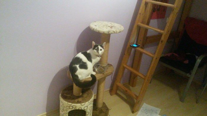 12465340_1658799417714566_140915373_o