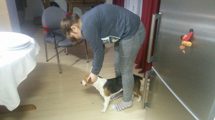 12482844_1658799234381251_1177222882_o