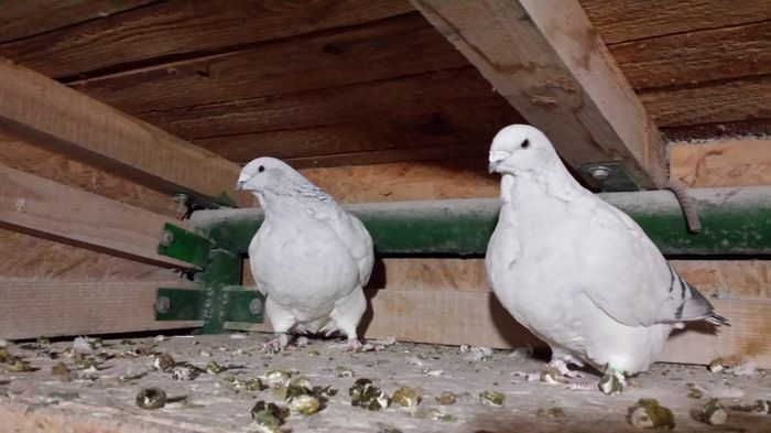 F-2014-145&F-2014-447