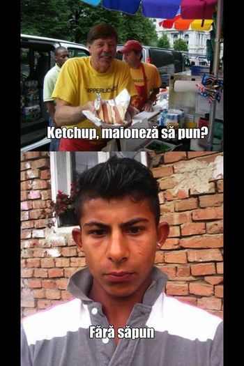 12483789_1014139571979869_335473721_n - Diverse