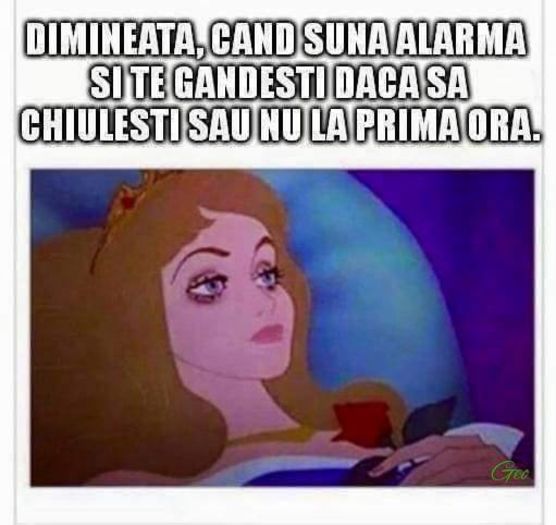 12506939_1014139668646526_541001481_n