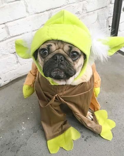 *se kk in mijlocul holului*