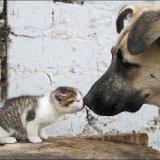 42864_a53059f40ce2ac87f48164ff5e3013e9_mdsq