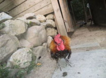 105184668_CUNOCPP3
