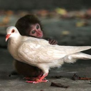 49096_69e92a37f3545373cb29377ba743d4fe_mdsq