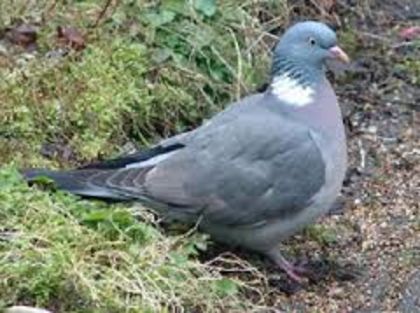 tttttttttttttttttttttttttttttttttttt