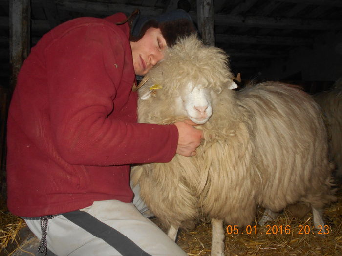 Picture 345 - Mielute 2015-2016-2017