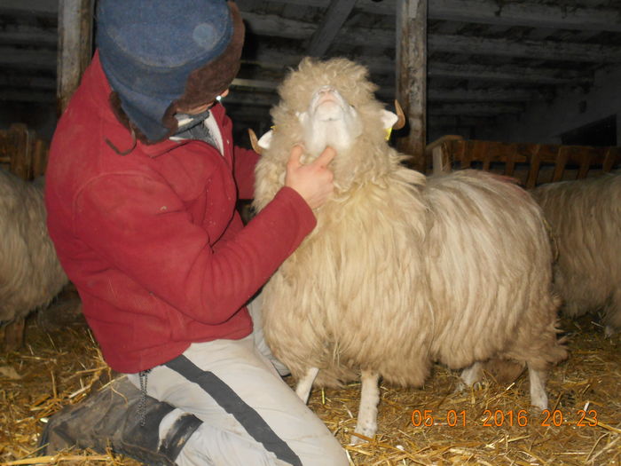 Picture 343 - Mielute 2015-2016-2017