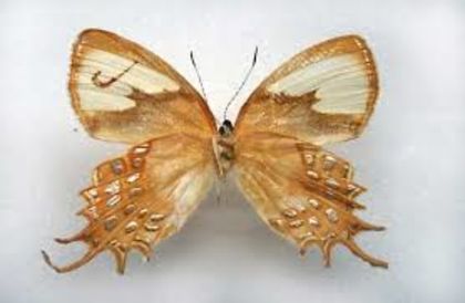 RGR3GRGW3GRWGRWGRGWRGW3