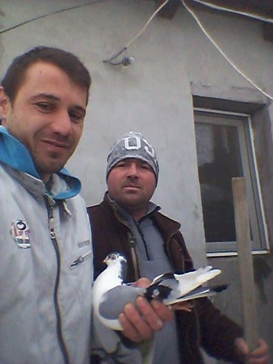 20160106_104955 - porumbei galateni