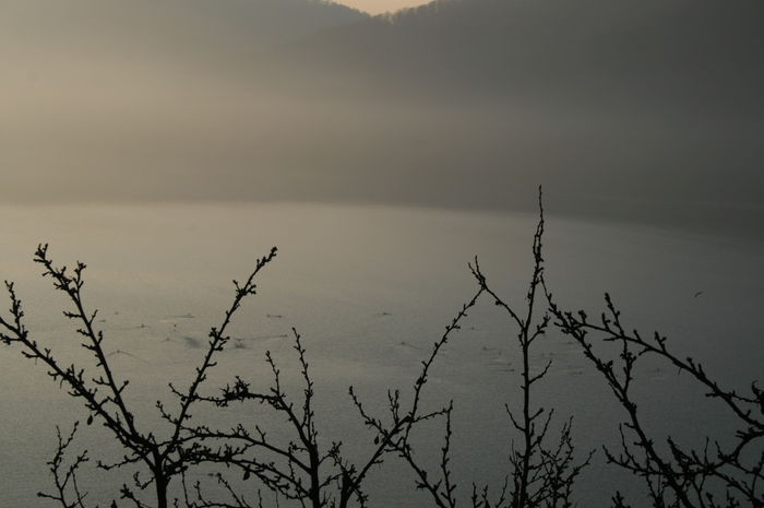 Picture 004 - cormorani pe lac