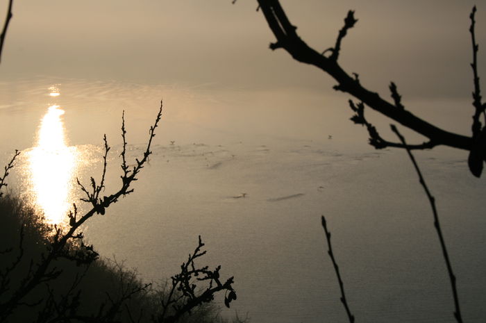 Picture 007 - cormorani pe lac