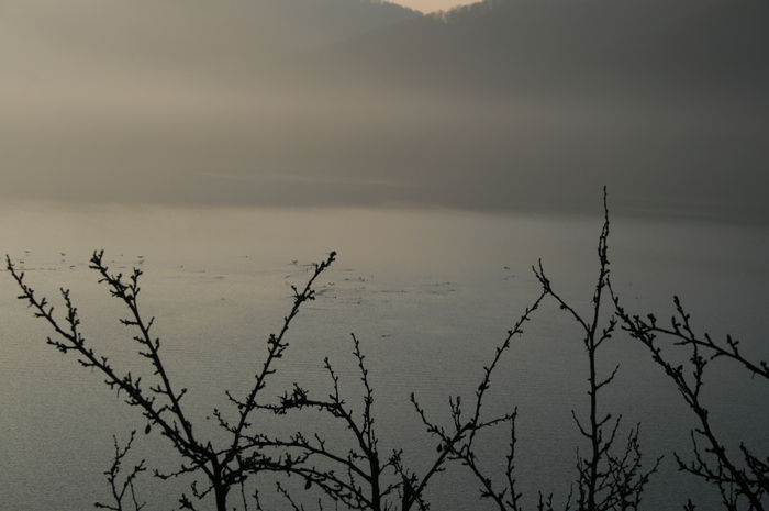Picture 015 - cormorani pe lac