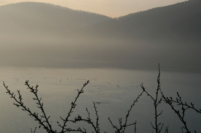Picture 020 - cormorani pe lac