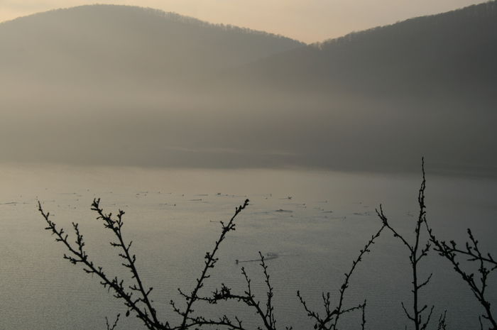 Picture 021 - cormorani pe lac