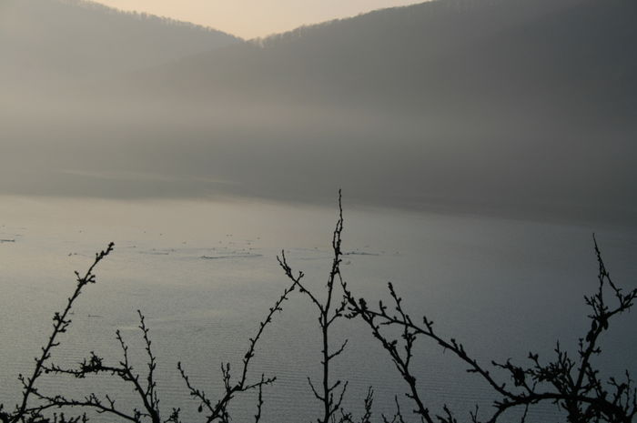 Picture 030 - cormorani pe lac