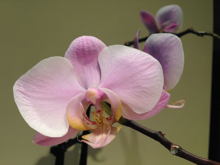 12489217_935645373170811_8259580108798642314_o