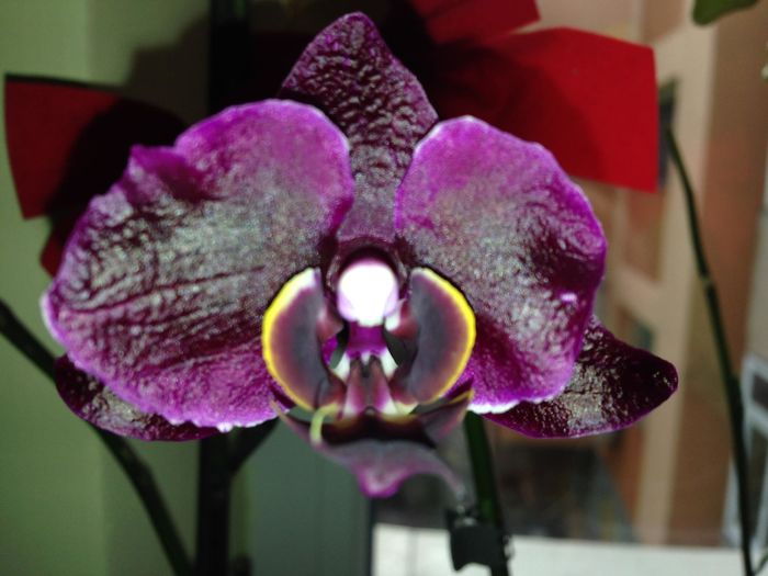 12484587_935645399837475_5188913310939300093_o