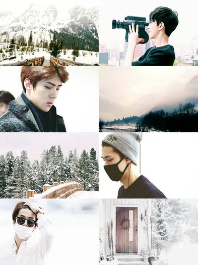 ╳ 141 days l 06.01.2016 ╳